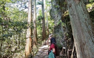 天目山旅游景点攻略一日游？天目山旅游景点攻略一日游？