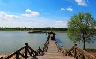 东营旅游景点大全免费路线表，东营旅游攻略必去景点？