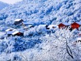 金佛山雪景攻略大全，金佛山雪景门票多少钱？