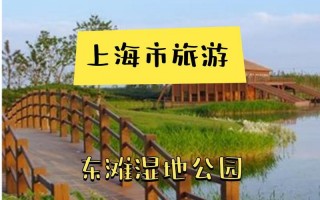 崇明岛2日游攻略？崇明岛二日游攻略？
