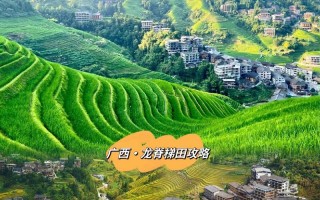龙脊梯田旅游详细攻略，龙脊梯田旅游详细攻略一日游