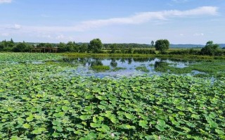 伊春旅游交通攻略，伊春旅游攻略自助游路线图
