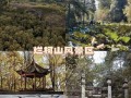 衢州带孩子游玩景点，衢州带小孩哪里好玩的景点？