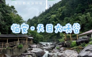 天目山景区游玩攻略路线？天目山风景区旅游攻略？