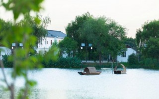 桃花岛游玩攻略路线，桃花岛一日游攻略？
