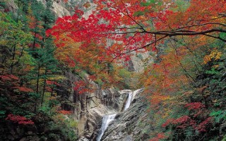 广州从化旅游景点推荐一下？广州从化旅游景点大全？