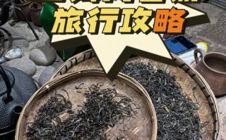 普洱旅游攻略必去景点推荐，普洱旅游景点大全？