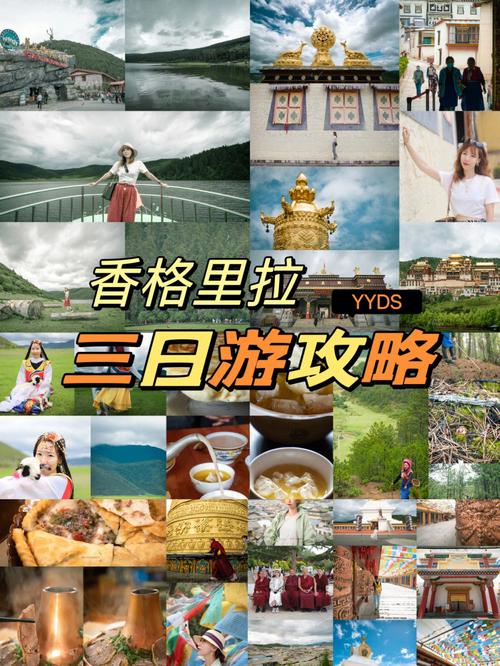 迪庆旅游攻略自由行三天多少钱?迪庆州旅游攻略?-第4张图片-诗丽旅游网 迪庆旅游攻略自由行三天多少钱?迪庆州旅游攻略?-第4张图片-诗丽旅游网