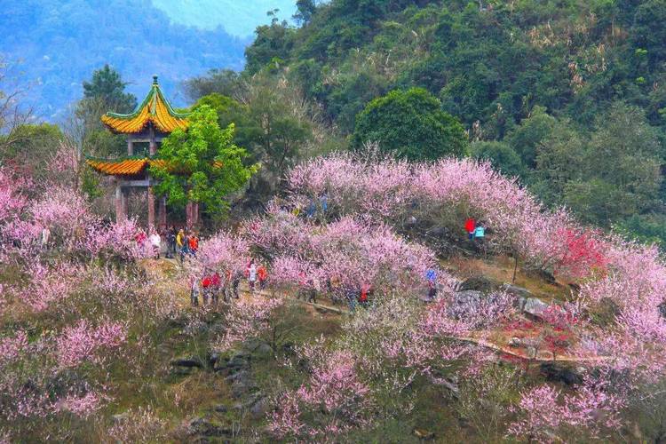 清远旅游景点自驾攻略路线,清远旅游景点自驾攻略路线图-第4张图片-诗丽旅游网 清远旅游景点自驾攻略路线,清远旅游景点自驾攻略路线图-第4张图片-诗丽旅游网