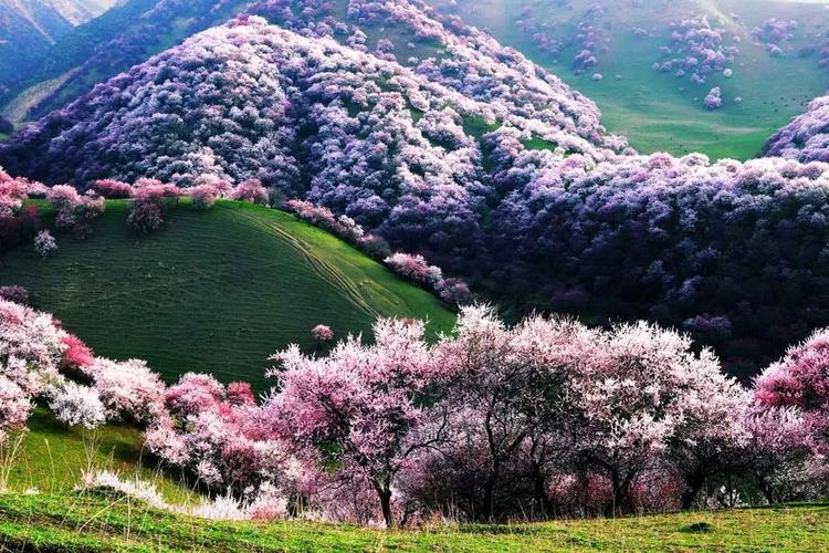 6月山东旅游景点?六月山东旅游?-第1张图片-诗丽旅游网 6月山东旅游景点?六月山东旅游?-第1张图片-诗丽旅游网