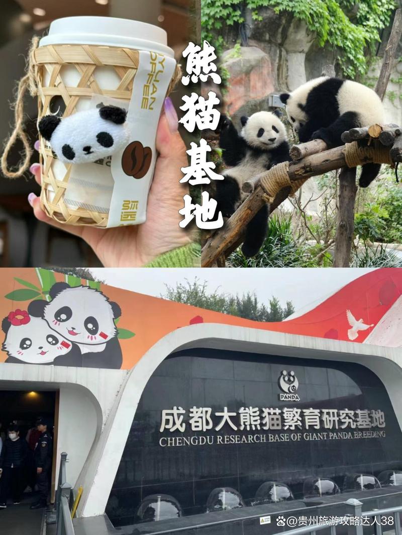 四川卧龙旅游攻略路线?四川卧龙景区门票?-第3张图片-诗丽旅游网 四川卧龙旅游攻略路线?四川卧龙景区门票?-第3张图片-诗丽旅游网