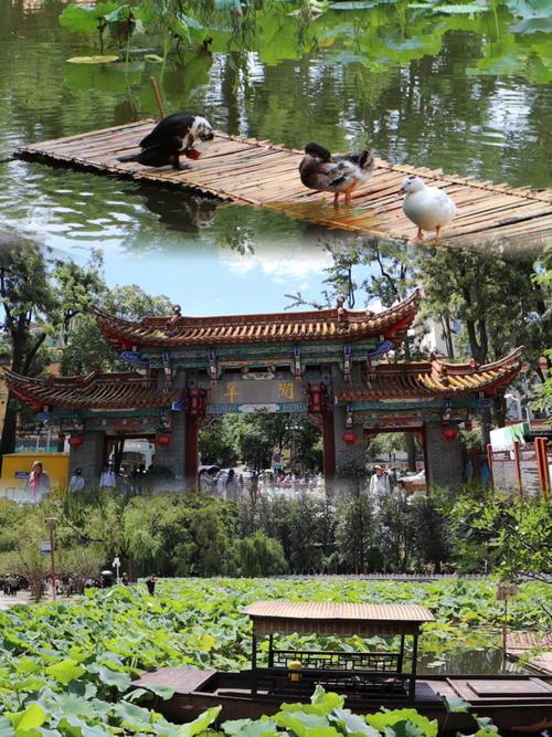 昆明旅游攻略景点大全免费门票多少钱?昆明旅游攻略景点大全免费门票多少钱?-第1张图片-诗丽旅游网 昆明旅游攻略景点大全免费门票多少钱?昆明旅游攻略景点大全免费门票多少钱?-第1张图片-诗丽旅游网