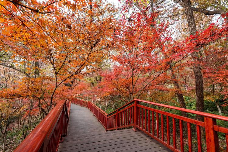 抚顺的旅游景点大全介绍,抚顺的旅游景点大全介绍视频-第4张图片-诗丽旅游网 抚顺的旅游景点大全介绍,抚顺的旅游景点大全介绍视频-第4张图片-诗丽旅游网