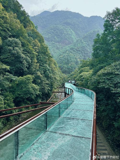 南川金佛山游玩攻略?南川金佛山景点简介?-第1张图片-诗丽旅游网 南川金佛山游玩攻略?南川金佛山景点简介?-第1张图片-诗丽旅游网