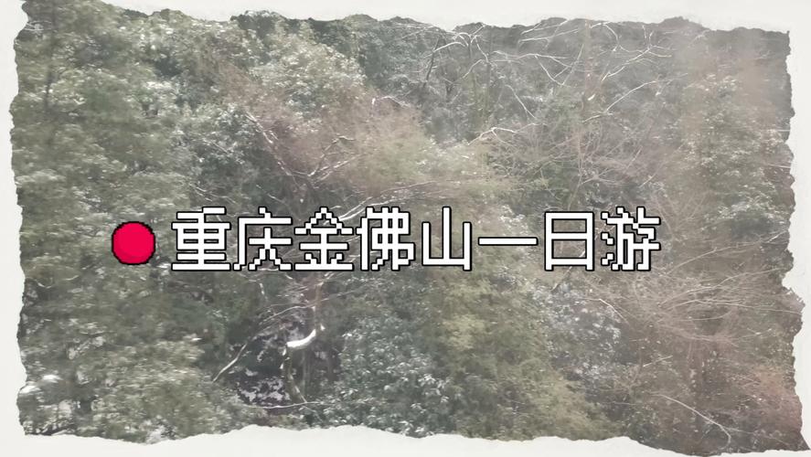 南川金佛山游玩攻略?南川金佛山景点简介?-第3张图片-诗丽旅游网 南川金佛山游玩攻略?南川金佛山景点简介?-第3张图片-诗丽旅游网