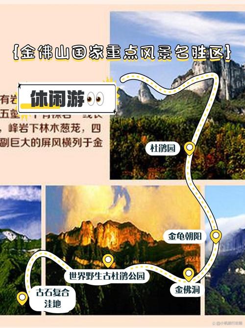 南川金佛山游玩攻略?南川金佛山景点简介?-第4张图片-诗丽旅游网 南川金佛山游玩攻略?南川金佛山景点简介?-第4张图片-诗丽旅游网
