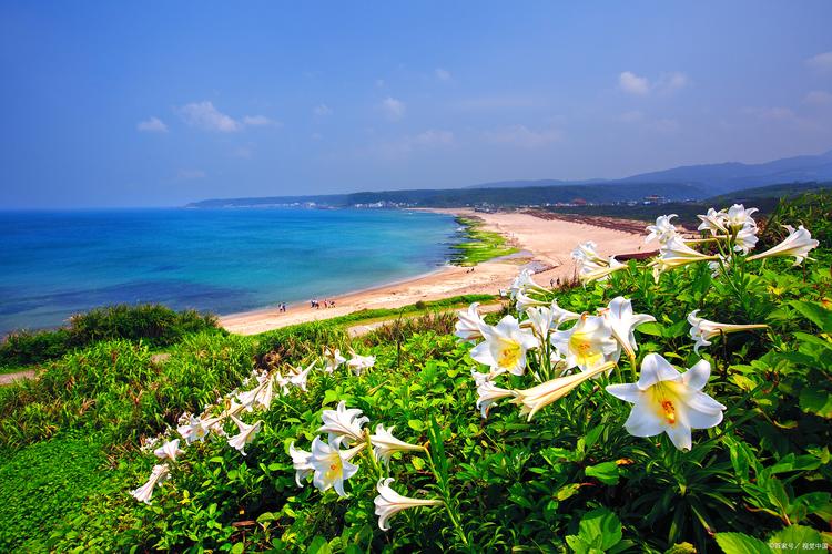 琼海旅游攻略必去景点有哪些,琼海游玩景点及攻略-第1张图片-诗丽旅游网 琼海旅游攻略必去景点有哪些,琼海游玩景点及攻略-第1张图片-诗丽旅游网