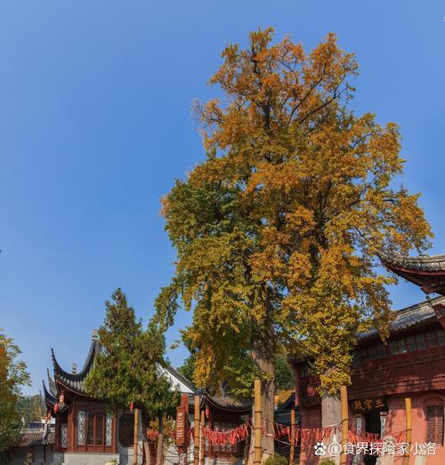 常州旅游景点攻略两日游路线,常州旅游景点攻略两日游路线图?-第5张图片-诗丽旅游网 常州旅游景点攻略两日游路线,常州旅游景点攻略两日游路线图?-第5张图片-诗丽旅游网