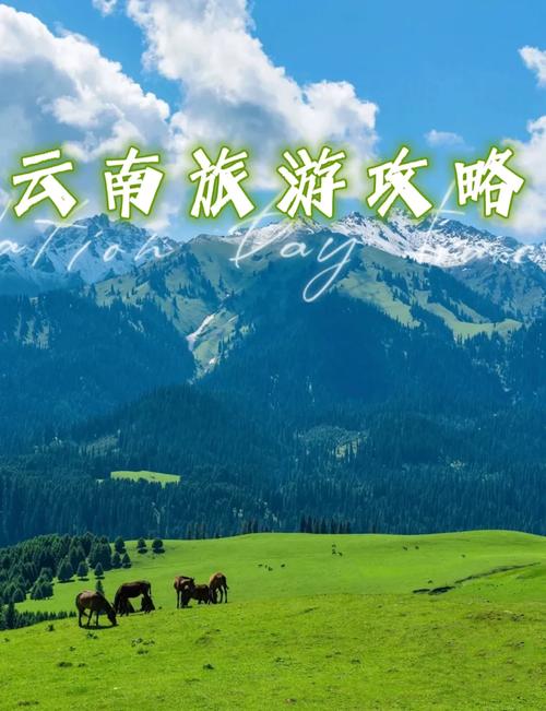 云南攻略最佳旅游攻略一个人?云南个人旅游推荐?-第1张图片-诗丽旅游网 云南攻略最佳旅游攻略一个人?云南个人旅游推荐?-第1张图片-诗丽旅游网