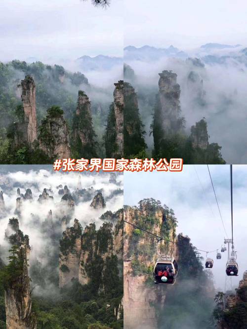 湖北天门旅游景点攻略一日游?湖北天门旅游景点大全?-第5张图片-诗丽旅游网 湖北天门旅游景点攻略一日游?湖北天门旅游景点大全?-第5张图片-诗丽旅游网