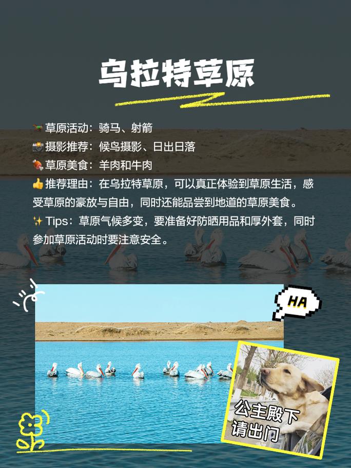 巴彦淖尔市旅游攻略必去景点,巴彦淖尔旅游攻略必玩的景点?-第6张图片-诗丽旅游网 巴彦淖尔市旅游攻略必去景点,巴彦淖尔旅游攻略必玩的景点?-第6张图片-诗丽旅游网