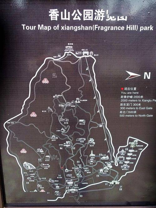 香山公园攻略怎么去最快,香山公园路线游玩攻略?-第1张图片-诗丽旅游网 香山公园攻略怎么去最快,香山公园路线游玩攻略?-第1张图片-诗丽旅游网