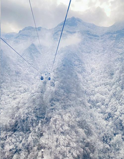 金佛山玩雪攻略路线?金佛山雪景门票多少钱?-第5张图片-诗丽旅游网 金佛山玩雪攻略路线?金佛山雪景门票多少钱?-第5张图片-诗丽旅游网