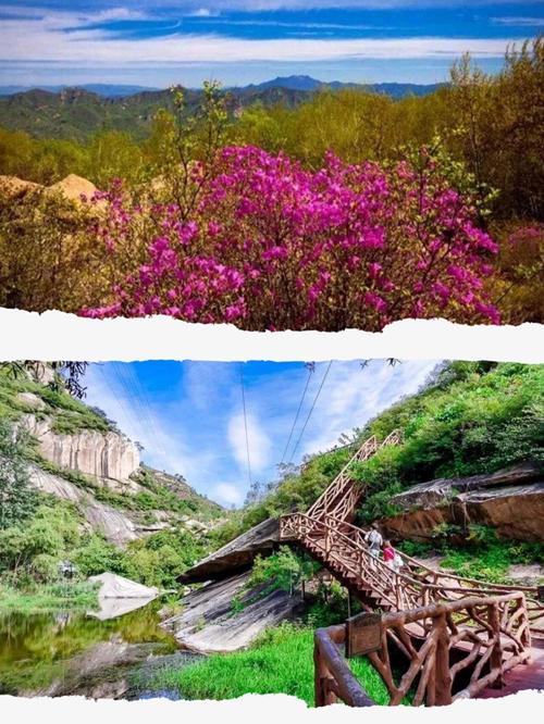 北京旅游攻略必去景点两日游,北京旅游攻略必去景点2日游-第6张图片-诗丽旅游网 北京旅游攻略必去景点两日游,北京旅游攻略必去景点2日游-第6张图片-诗丽旅游网