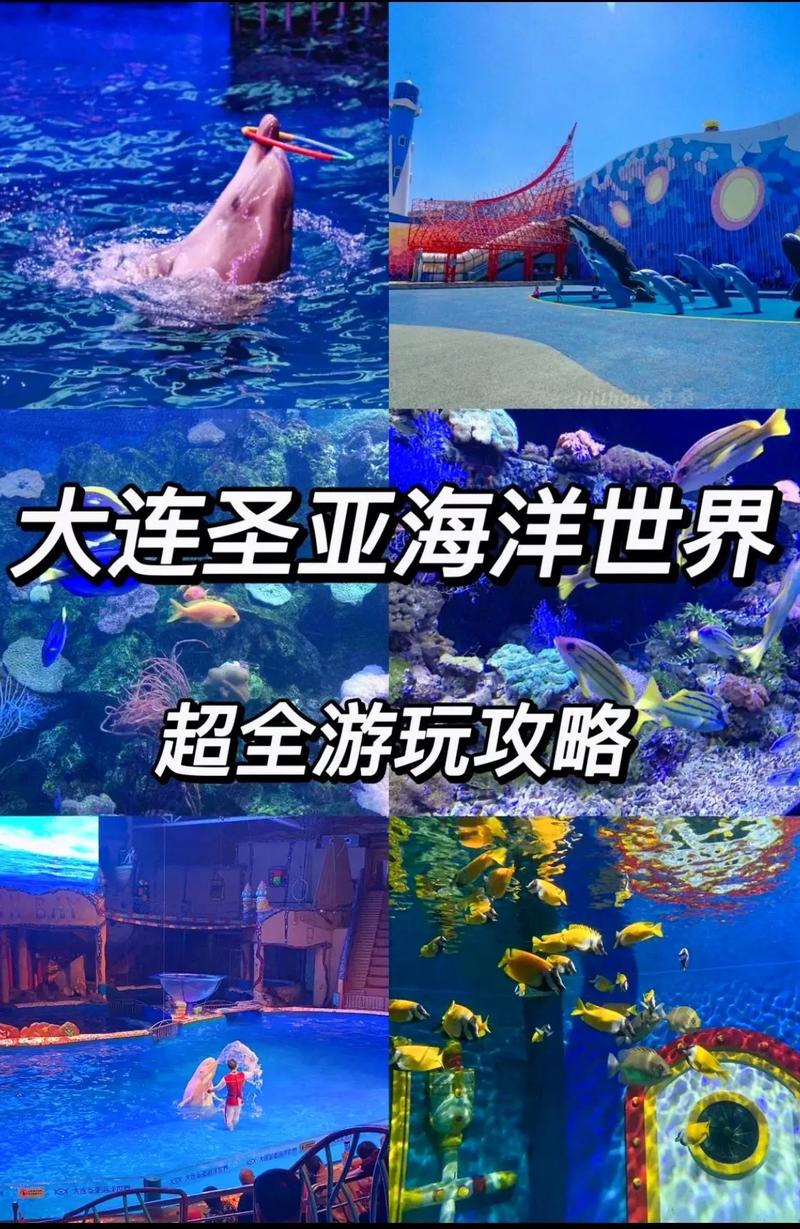 大连儿童旅游攻略,大连儿童旅游必去景点-第4张图片-诗丽旅游网 大连儿童旅游攻略,大连儿童旅游必去景点-第4张图片-诗丽旅游网
