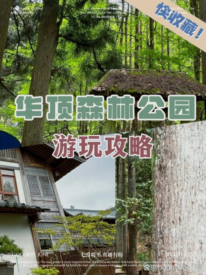 湖南4天自由行旅游攻略,湖南旅游4天线路推荐-第2张图片-诗丽旅游网 湖南4天自由行旅游攻略,湖南旅游4天线路推荐-第2张图片-诗丽旅游网