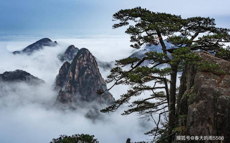 安徽黄山旅游景点有哪些,安徽黄山必去五大旅游景点?-第2张图片-诗丽旅游网 安徽黄山旅游景点有哪些,安徽黄山必去五大旅游景点?-第2张图片-诗丽旅游网
