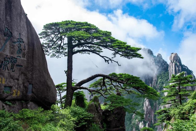 安徽黄山旅游景点有哪些,安徽黄山必去五大旅游景点?-第3张图片-诗丽旅游网 安徽黄山旅游景点有哪些,安徽黄山必去五大旅游景点?-第3张图片-诗丽旅游网