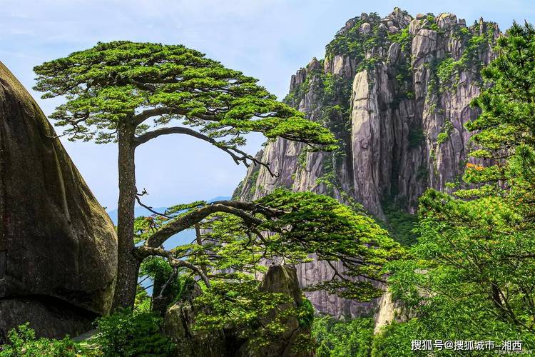 安徽黄山旅游景点有哪些,安徽黄山必去五大旅游景点?-第4张图片-诗丽旅游网 安徽黄山旅游景点有哪些,安徽黄山必去五大旅游景点?-第4张图片-诗丽旅游网