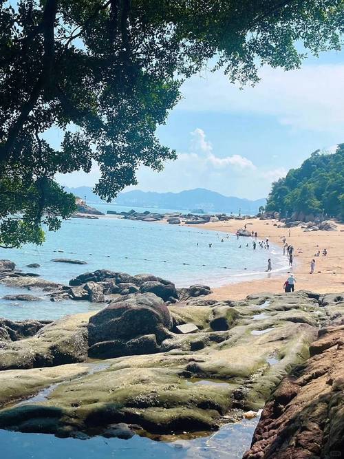 厦门旅游攻略自由行最佳线路2天,厦门旅游自由行攻略攻略?-第4张图片-诗丽旅游网 厦门旅游攻略自由行最佳线路2天,厦门旅游自由行攻略攻略?-第4张图片-诗丽旅游网