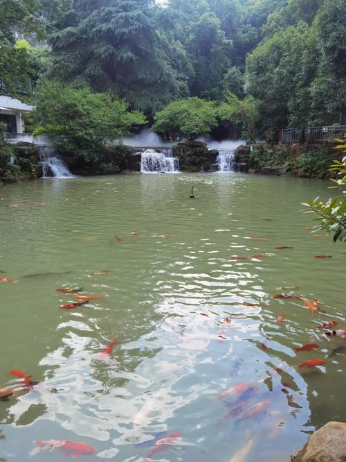 浙江一日游自驾游攻略,浙江一日游必去景点推荐自驾?-第4张图片-诗丽旅游网 浙江一日游自驾游攻略,浙江一日游必去景点推荐自驾?-第4张图片-诗丽旅游网