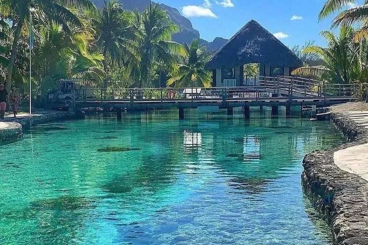 斐济旅游攻略必去景点?斐济旅游攻略必去景点大全?-第3张图片-诗丽旅游网 斐济旅游攻略必去景点?斐济旅游攻略必去景点大全?-第3张图片-诗丽旅游网