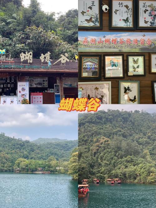 广东肇庆旅游攻略,广东省旅游攻略-第1张图片-诗丽旅游网 广东肇庆旅游攻略,广东省旅游攻略-第1张图片-诗丽旅游网