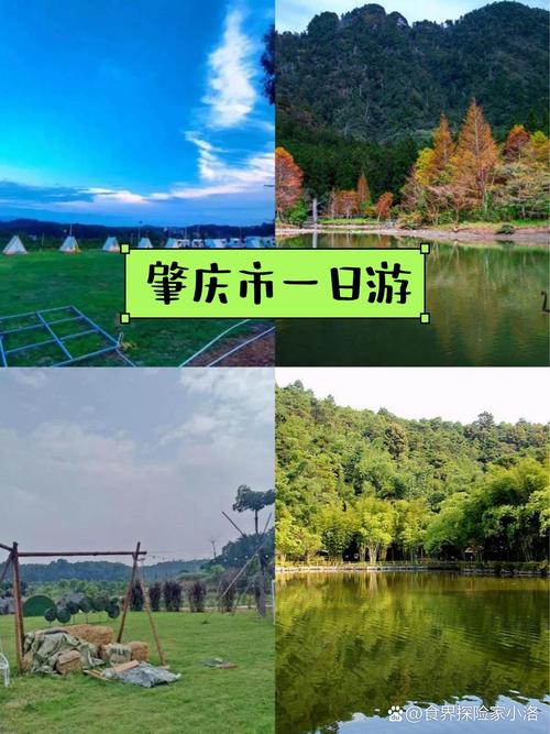 广东肇庆旅游攻略,广东省旅游攻略-第5张图片-诗丽旅游网 广东肇庆旅游攻略,广东省旅游攻略-第5张图片-诗丽旅游网