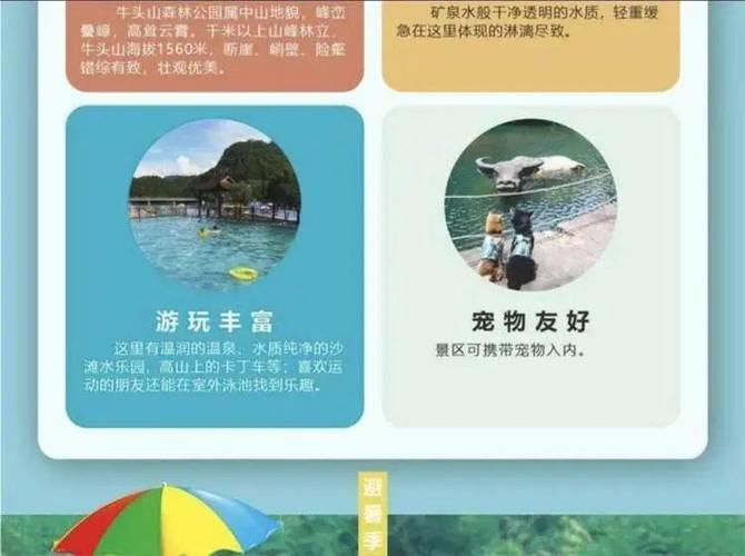 金华旅游攻略自由行路线,金华旅游攻略游-第5张图片-诗丽旅游网 金华旅游攻略自由行路线,金华旅游攻略游-第5张图片-诗丽旅游网