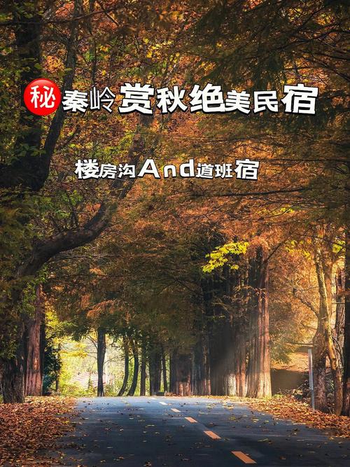 金华旅游攻略自由行路线,金华旅游攻略游-第6张图片-诗丽旅游网 金华旅游攻略自由行路线,金华旅游攻略游-第6张图片-诗丽旅游网