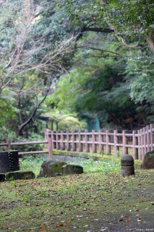 广州从化景点排名大全,广州从化景点大全旅游景点-第1张图片-诗丽旅游网 广州从化景点排名大全,广州从化景点大全旅游景点-第1张图片-诗丽旅游网