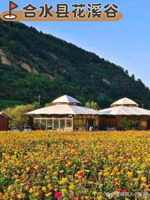 庆阳旅游攻略自驾游路线,庆阳市旅游攻略?-第2张图片-诗丽旅游网 庆阳旅游攻略自驾游路线,庆阳市旅游攻略?-第2张图片-诗丽旅游网