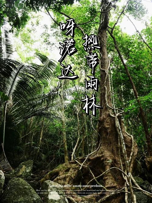 三亚景点导游词,三亚沿途讲解导游词?-第3张图片-诗丽旅游网 三亚景点导游词,三亚沿途讲解导游词?-第3张图片-诗丽旅游网