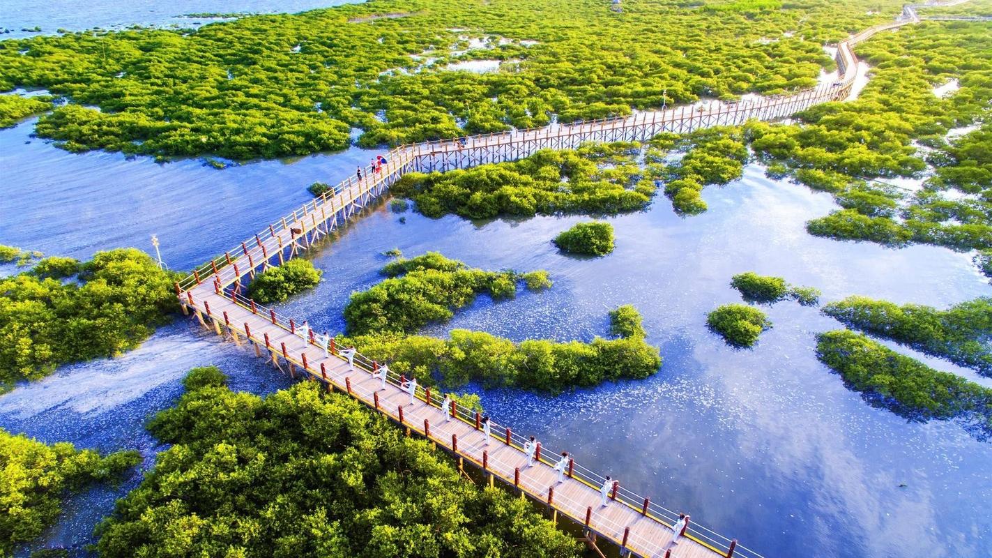 北海旅游景点哪里好玩攻略?北海旅游景点哪里好玩攻略图片?-第1张图片-诗丽旅游网 北海旅游景点哪里好玩攻略?北海旅游景点哪里好玩攻略图片?-第1张图片-诗丽旅游网