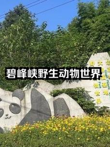 碧峰峡游玩攻略一日游路线,碧峰峡旅游攻略一日游2020 年-第2张图片-诗丽旅游网 碧峰峡游玩攻略一日游路线,碧峰峡旅游攻略一日游2020 年-第2张图片-诗丽旅游网