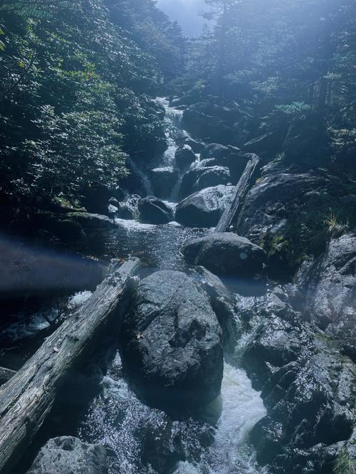 西昌螺髻山游览路线,西昌螺髻山门票多少钱一张?-第4张图片-诗丽旅游网 西昌螺髻山游览路线,西昌螺髻山门票多少钱一张?-第4张图片-诗丽旅游网