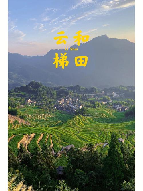 丽水游玩路线,丽水游玩景点?-第3张图片-诗丽旅游网 丽水游玩路线,丽水游玩景点?-第3张图片-诗丽旅游网