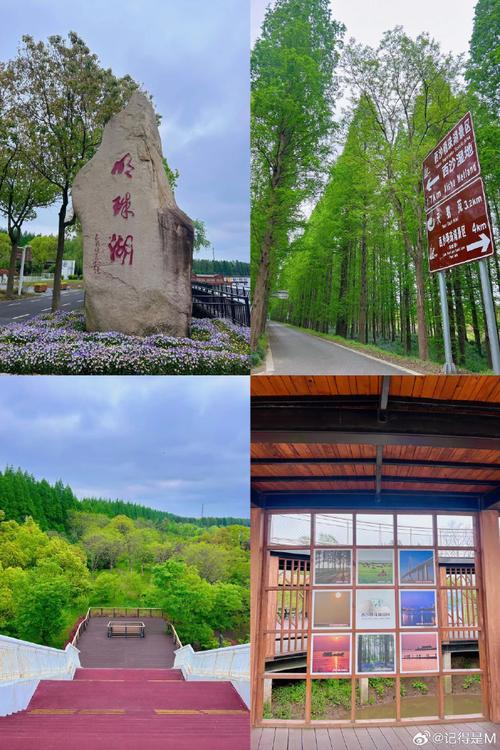崇明岛景点排名,崇明岛景点排名前十-第4张图片-诗丽旅游网 崇明岛景点排名,崇明岛景点排名前十-第4张图片-诗丽旅游网