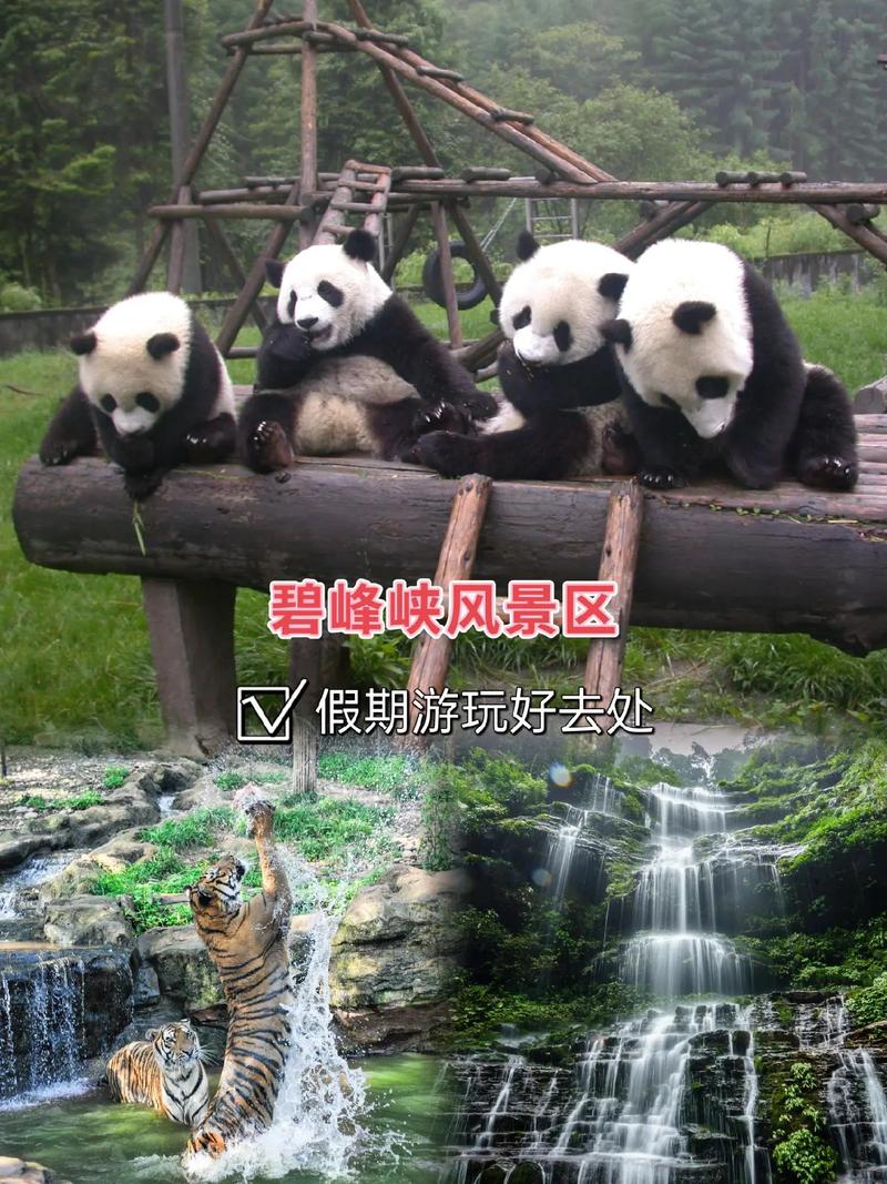 碧峰峡1日游攻略路线,碧峰峡1日游攻略路线图片?-第1张图片-诗丽旅游网 碧峰峡1日游攻略路线,碧峰峡1日游攻略路线图片?-第1张图片-诗丽旅游网