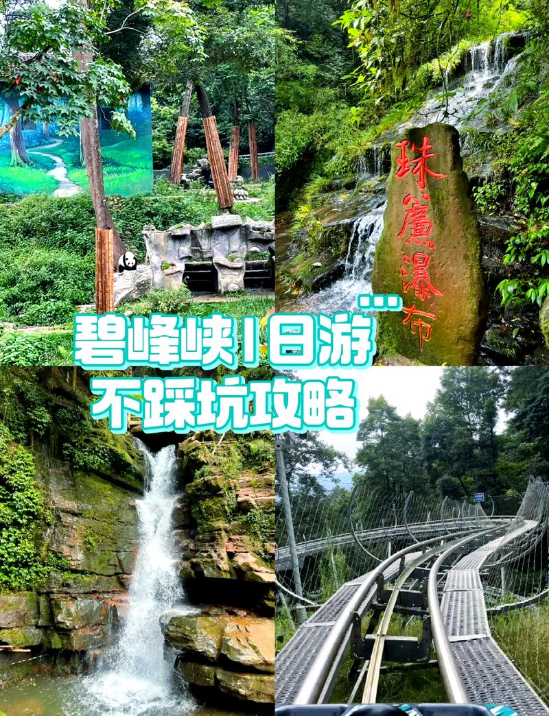 碧峰峡1日游攻略路线,碧峰峡1日游攻略路线图片?-第4张图片-诗丽旅游网 碧峰峡1日游攻略路线,碧峰峡1日游攻略路线图片?-第4张图片-诗丽旅游网